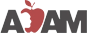 What Do Judges Consider When Making Custody Decisions? |ADAM - logo-small